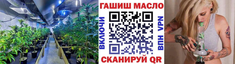купить закладку  Нефтегорск  Дистиллят ТГК Wax 